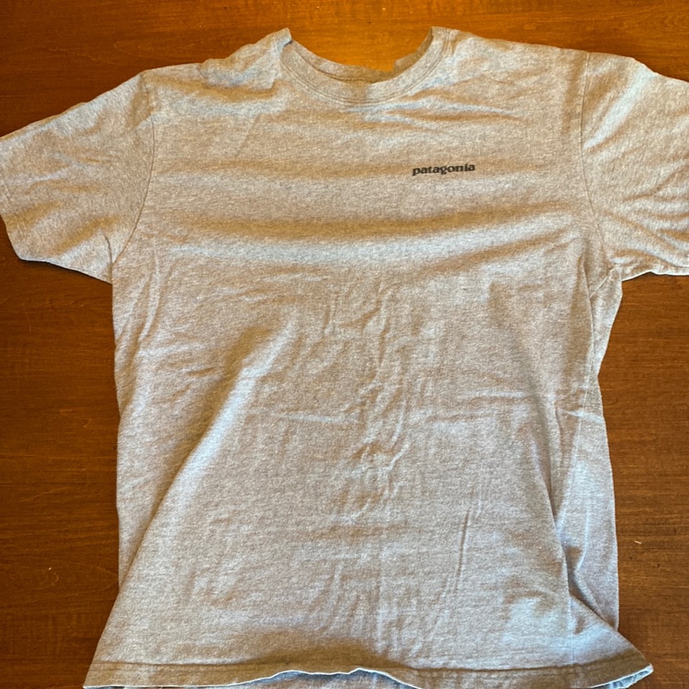 Patagonia grey tshirt